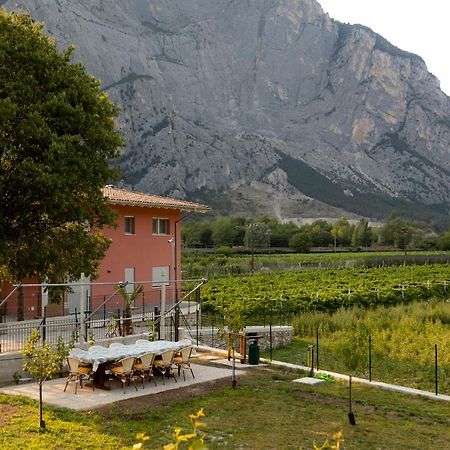Holiday Apartments Giulia - Green Pietramurata Exterior photo